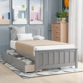 Twin Size Platform Bed With Two Drawers, Gray