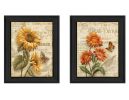 "Flowers Collection" 2-Piece Vignette By Ed Wargo, Printed Wall Art, Ready To Hang Framed Poster, Black Frame