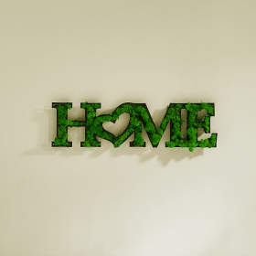 HOME Letter Art Moss Wall Decor