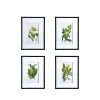 Set of 4 Botanical Flower Wall Art, Home Decor for Living Room, Dining Room, Bedroom, Hallway, 20" x 28"