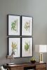 Set of 4 Botanical Flower Wall Art, Home Decor for Living Room, Dining Room, Bedroom, Hallway, 20" x 28"