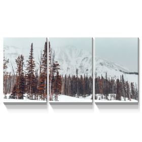 3 Panels Framed Winter Forest Canvas Wall Art Decor,3 Pieces Mordern Canvas Decoration Painting for Office,Dining room,Living room (Color: as Pic)