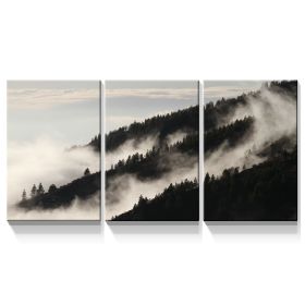 3 Panels Framed Misty Forest Forest Canvas Wall Art Decor,3 Pieces Mordern Canvas Decoration Painting for Office,Dining room,Living room (Color: as Pic)